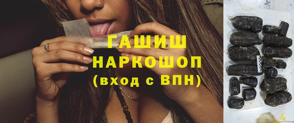 стаф Бородино