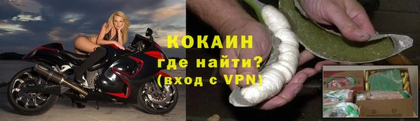стаф Бородино