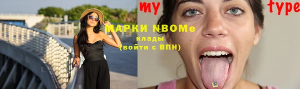 стаф Бородино