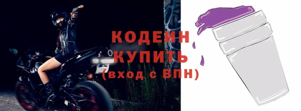 стаф Бородино