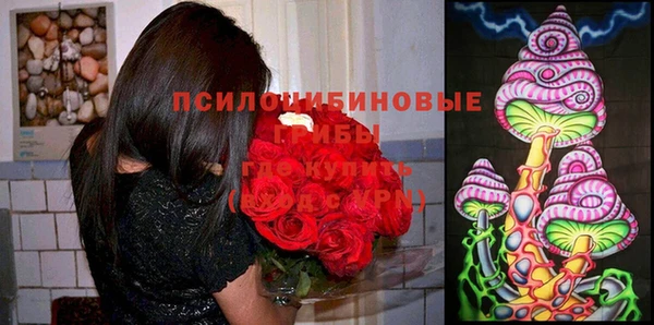 прущая мука Бронницы