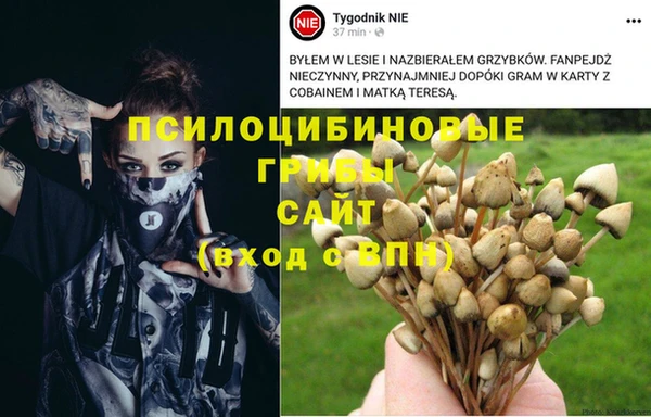 прущий лед Бугульма