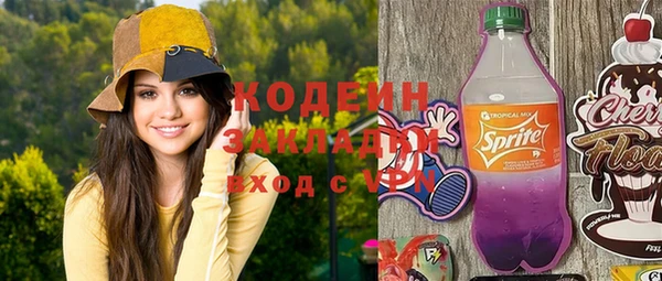 стаф Бородино