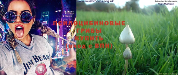 прущая мука Бронницы