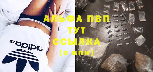 стаф Бородино