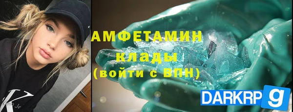 стаф Бородино