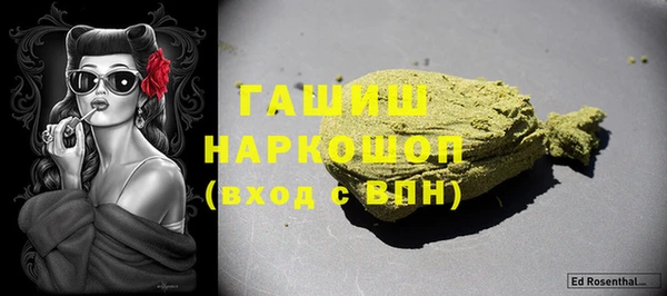 стаф Бородино
